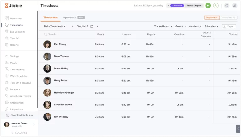 Daily team timesheets view